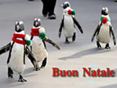 Immagini natalizie pinguini